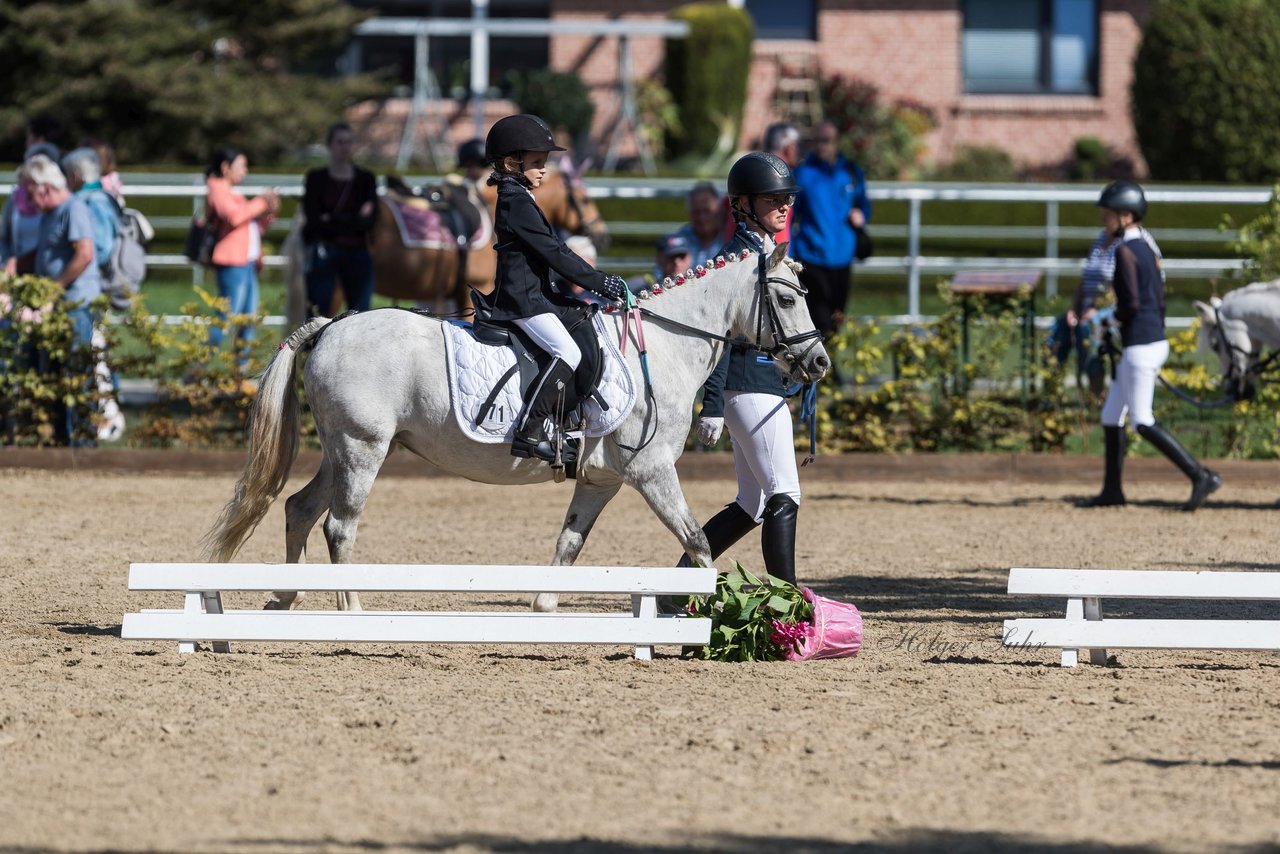 Bild 1 - Pony Akademie Turnier